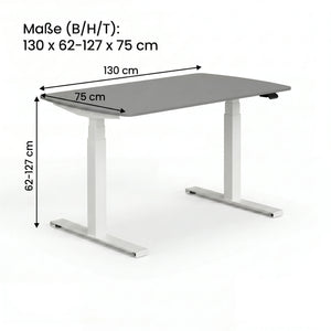 Schreibtisch, E-Lion 1