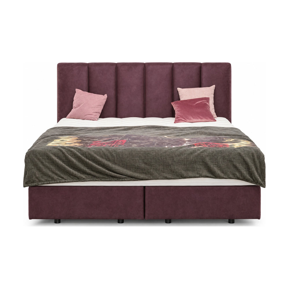 Boxspringbett Interliving 1412 Aubergine 180x200 cm mit Kaltschaummatratze freigestellt auf weißem Hintergrund – Möbel Graf Dresden – Art.-Nr. 18324..