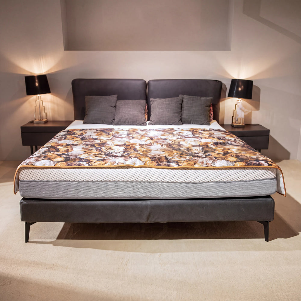 Boxspringbett Interliving 1416 Galero Punto graphit 180x200 cm mit 2 Nachtschränken – Abverkauf Möbel Graf Dresden – Art.-Nr. 21404..31