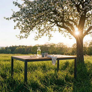 Gartentisch "Classic" mit Teakholz-Tischplatte