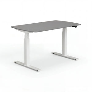 Schreibtisch, E-Lion 1