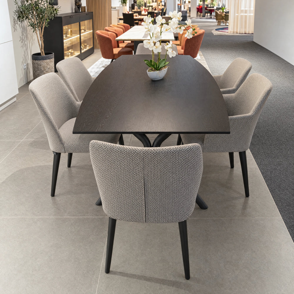 Tisch Elva Eiche Schwarz bootsförmig mit Soft-X-Gestell 220 × 100 cm – Abverkauf Möbel Graf Dresden – Art.-Nr. 21102..10
