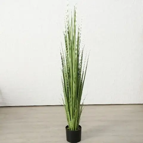 Topfpflanze, 50 x 182 cm - Grün